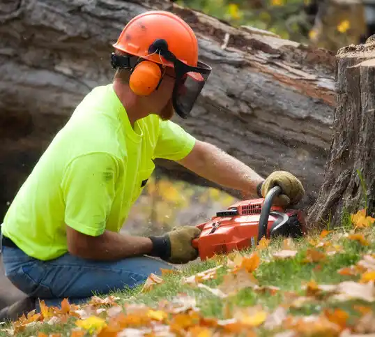 tree services Newton Falls